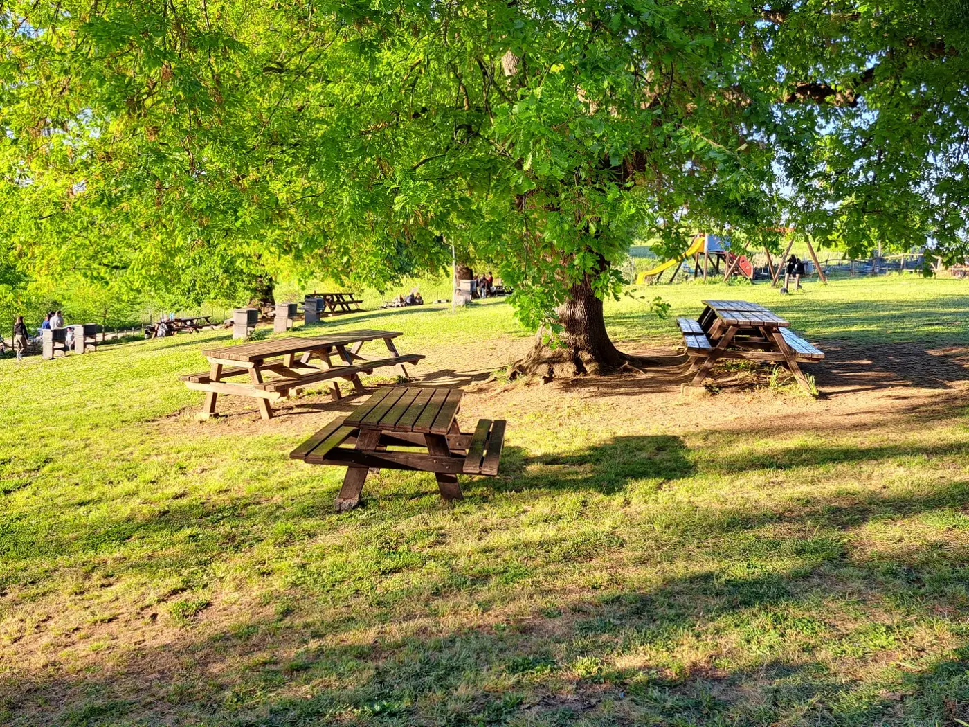 Area BBQ sotto le querce