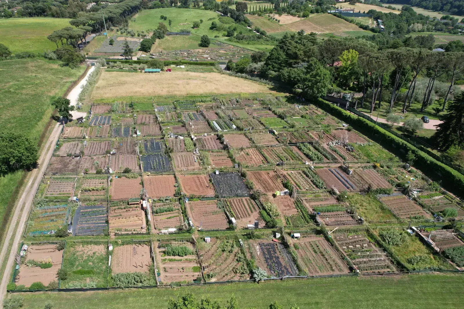 Gli Orti di Veio e il territorio circostante