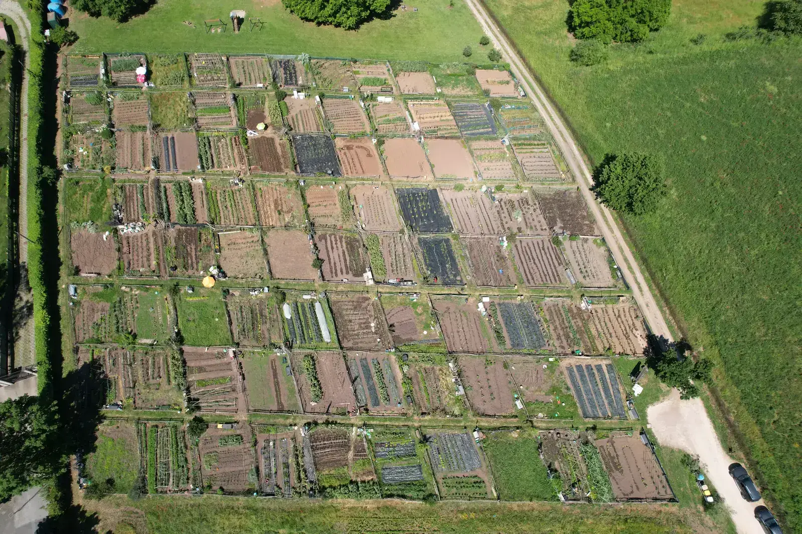 La struttura reale degli orti vista dall’alto