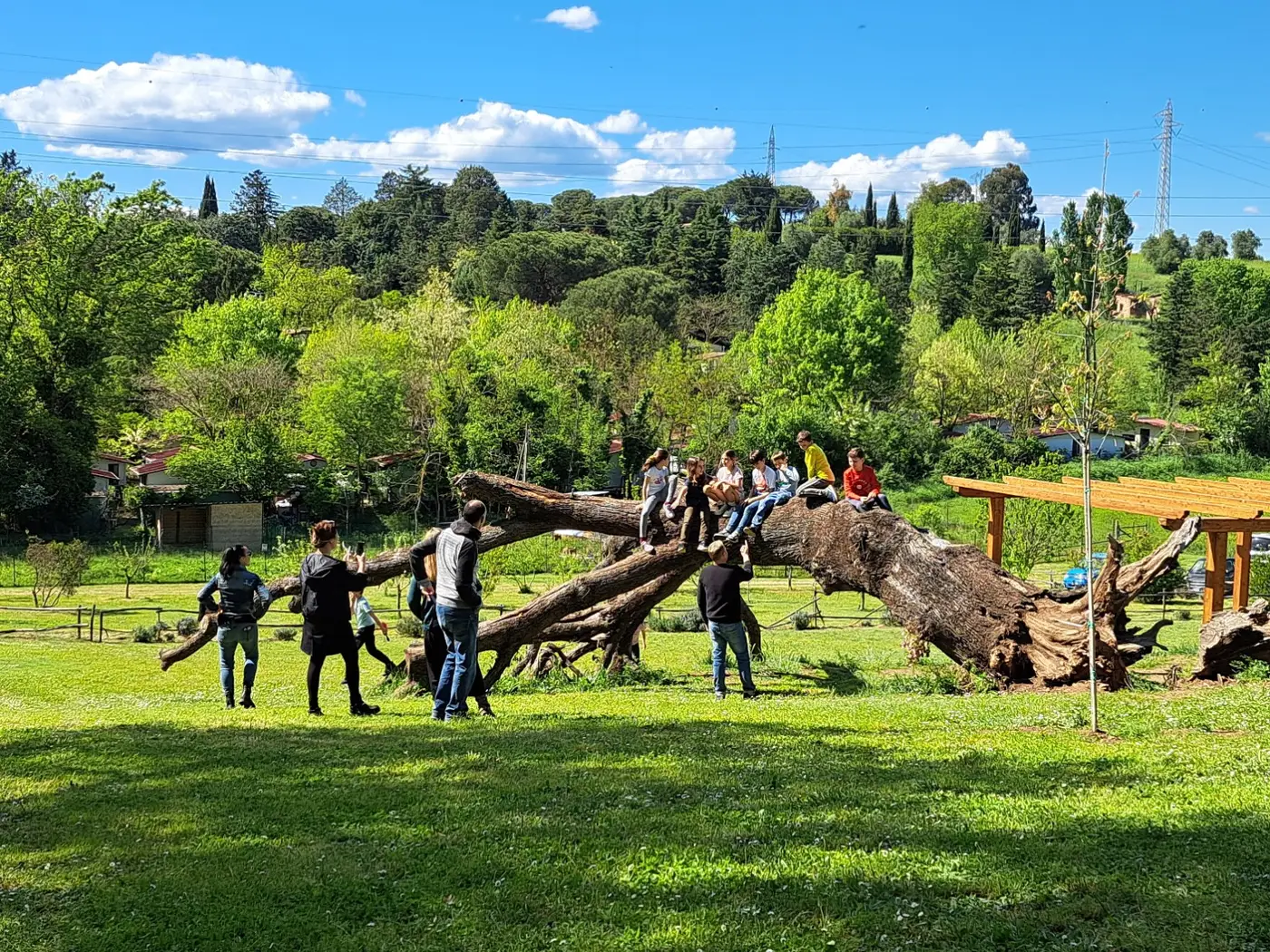 Bambini e adulti intorno alla quercia caduta nel prato degli Orti di Veio
